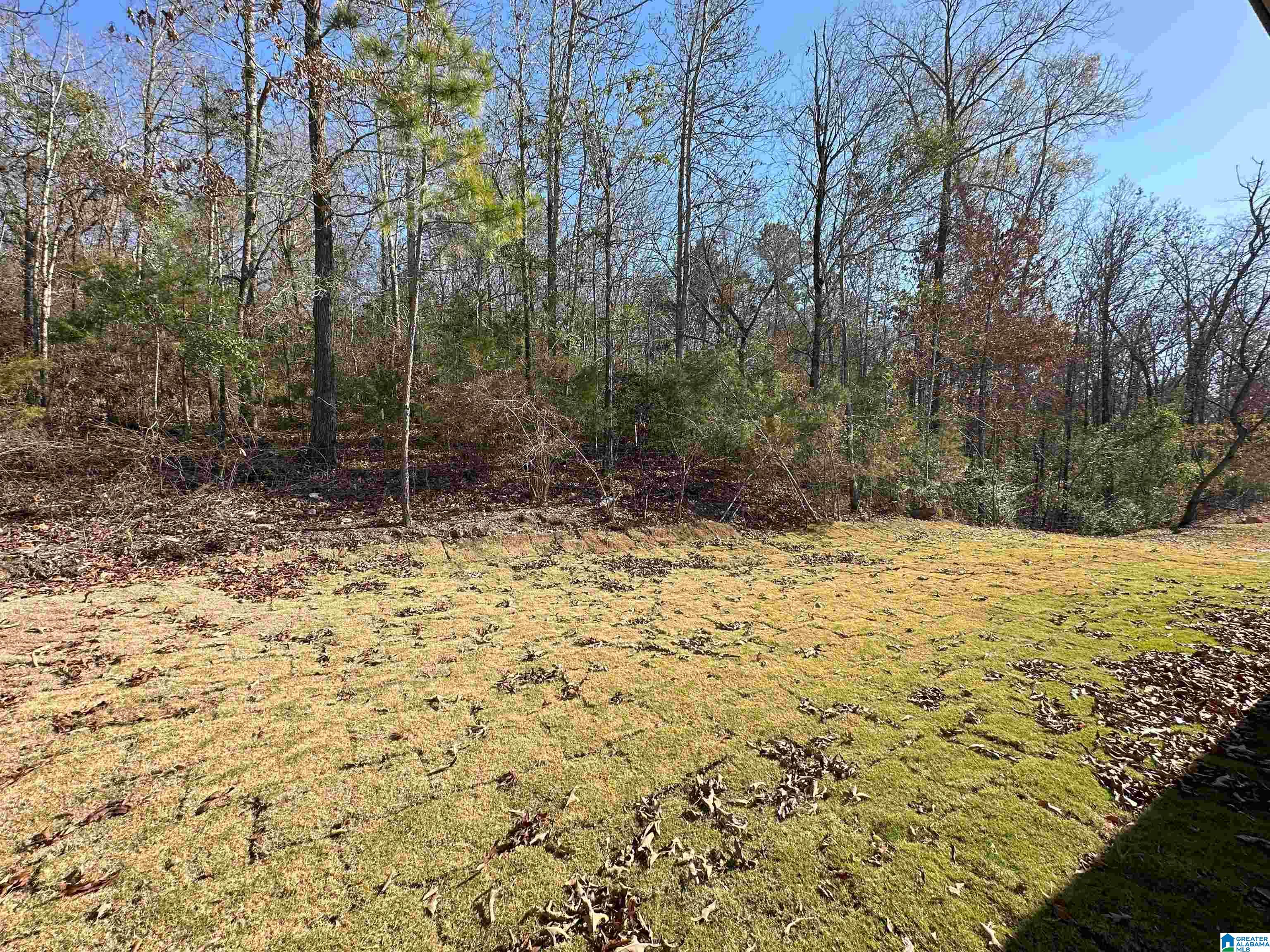 160 Tiffany Lane Ohatchee, AL 36271 - Photo 11 of 11