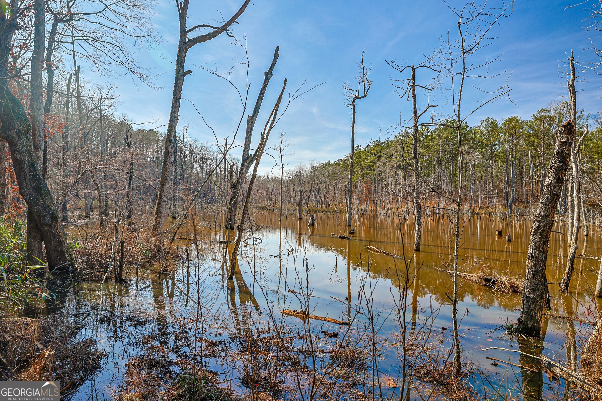 342 Norris Road Barnesville, GA 30204 - Photo 16 of 42