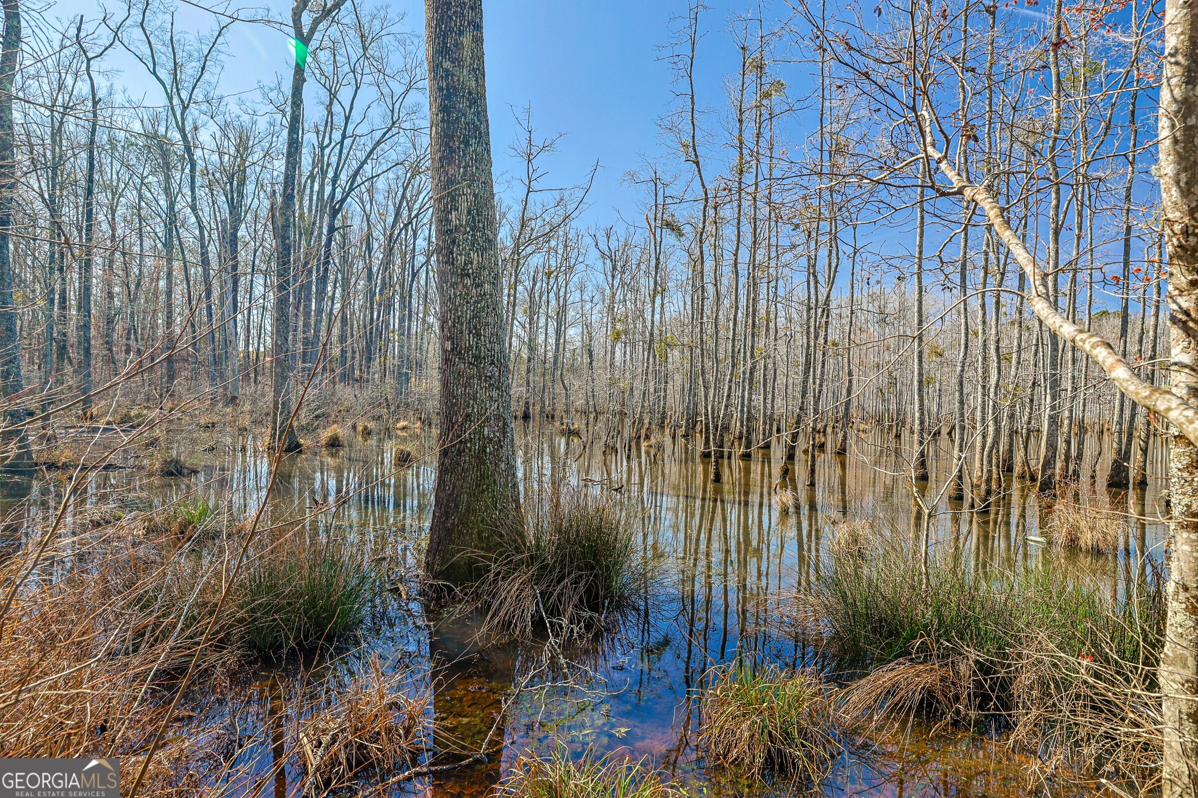 342 Norris Road Barnesville, GA 30204 - Photo 19 of 42