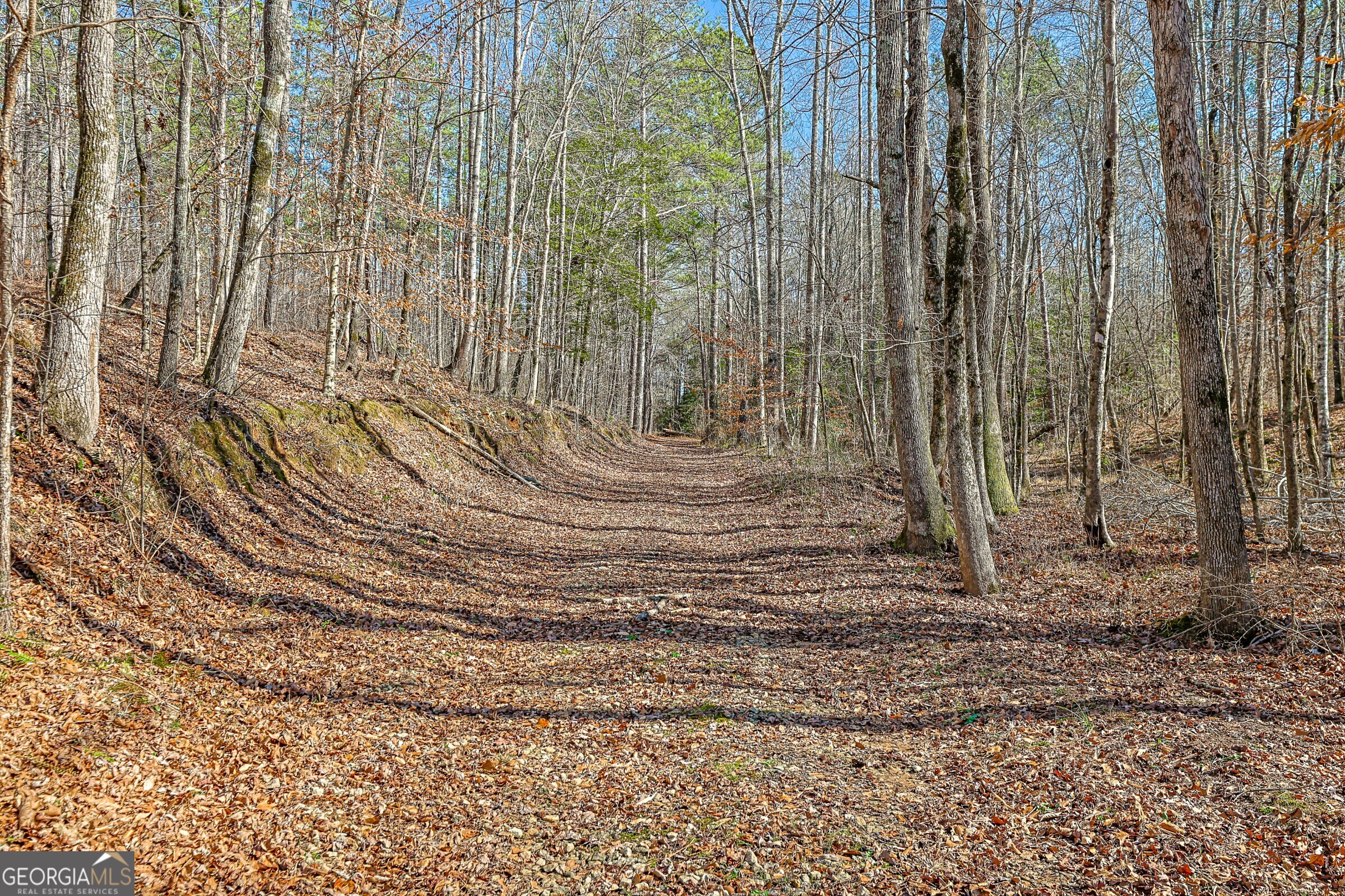 342 Norris Road Barnesville, GA 30204 - Photo 20 of 42