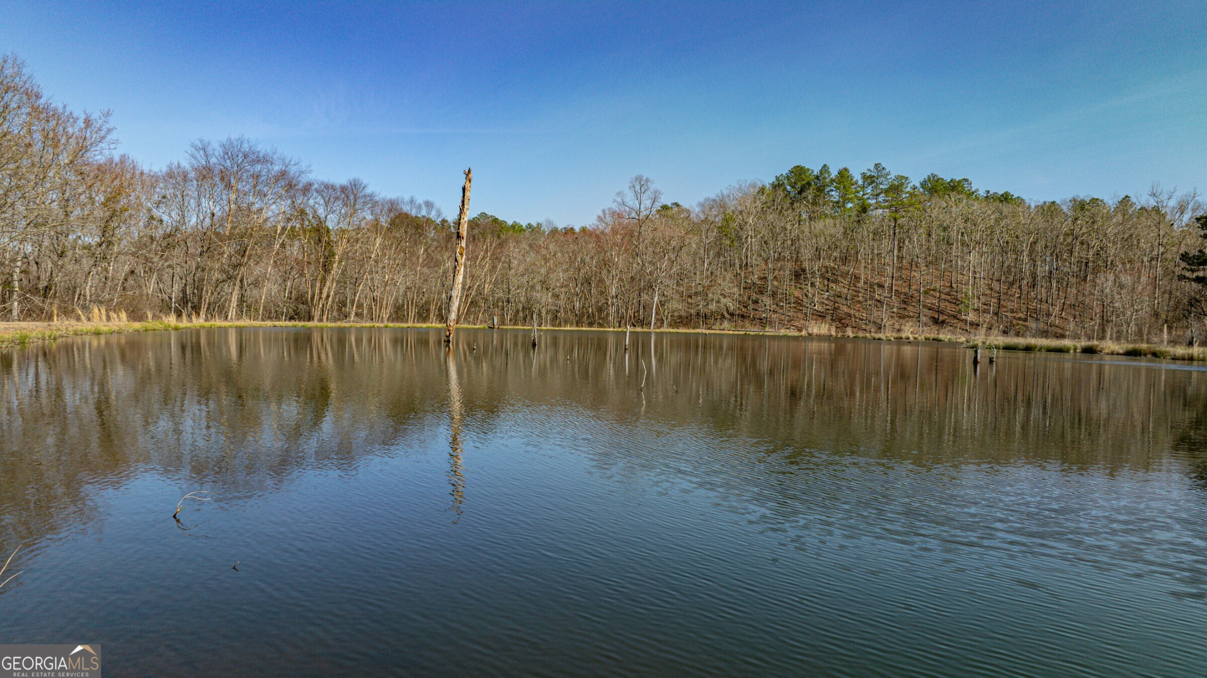 342 Norris Road Barnesville, GA 30204 - Photo 2 of 42
