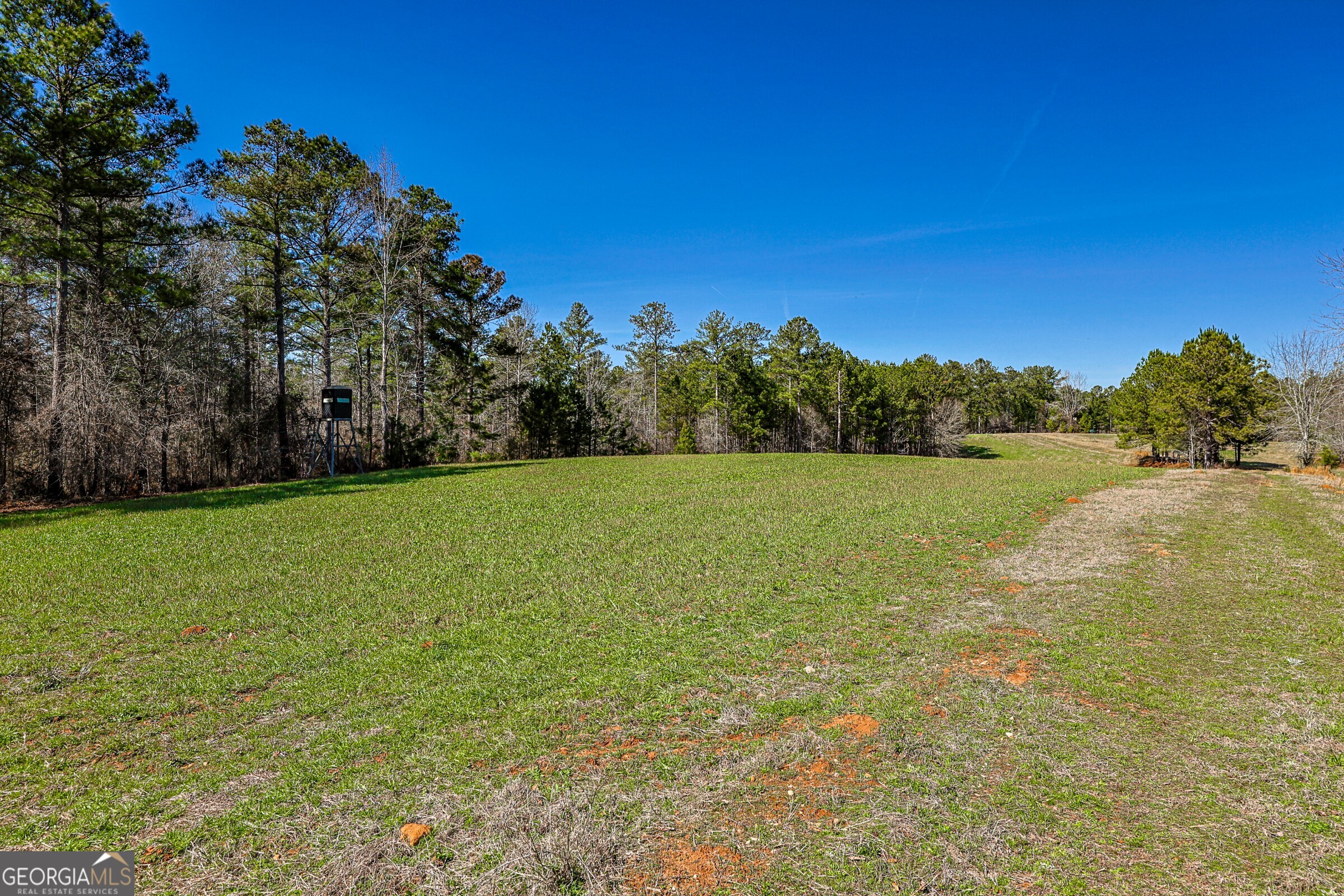 342 Norris Road Barnesville, GA 30204 - Photo 22 of 42