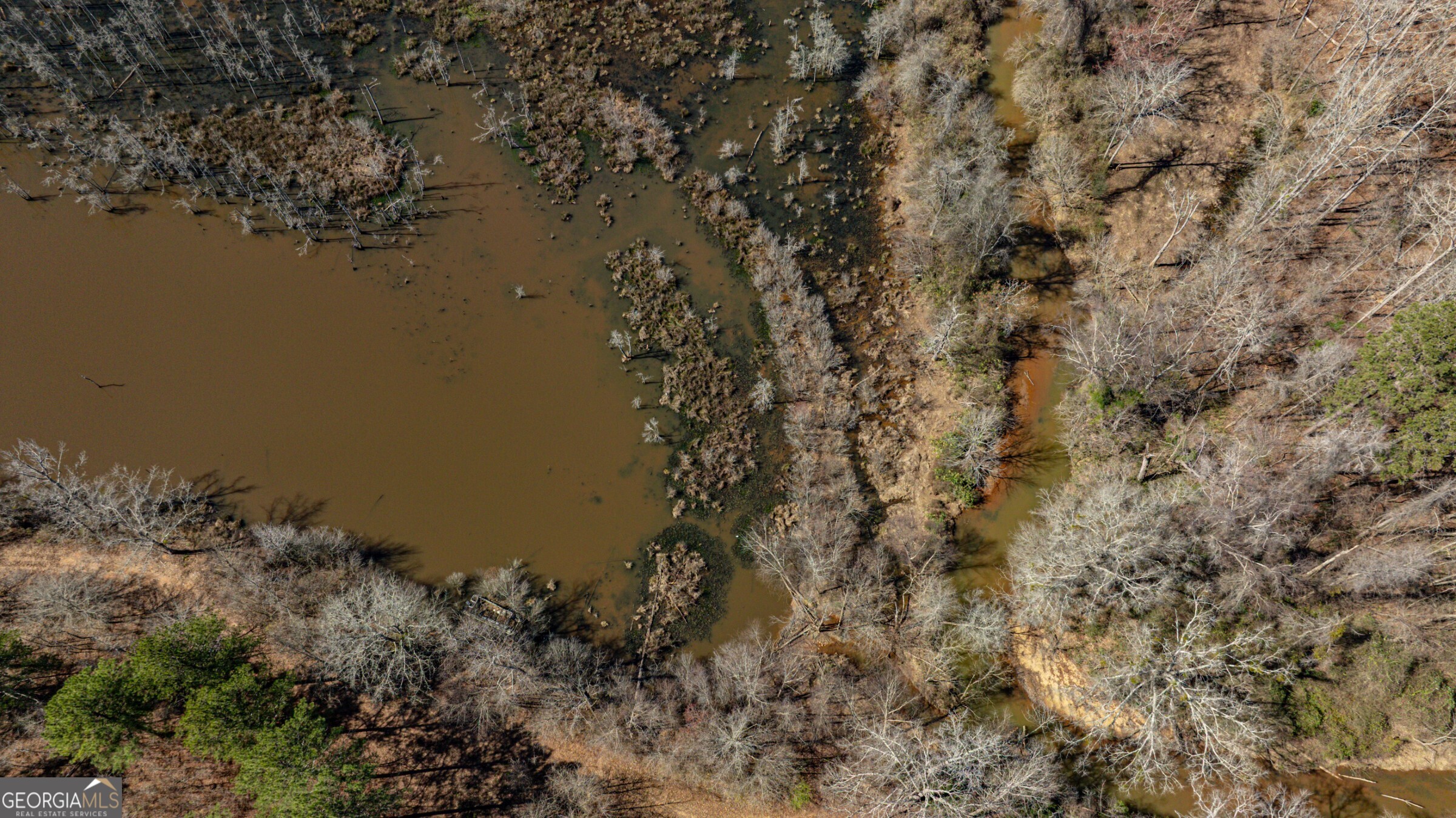 342 Norris Road Barnesville, GA 30204 - Photo 30 of 42