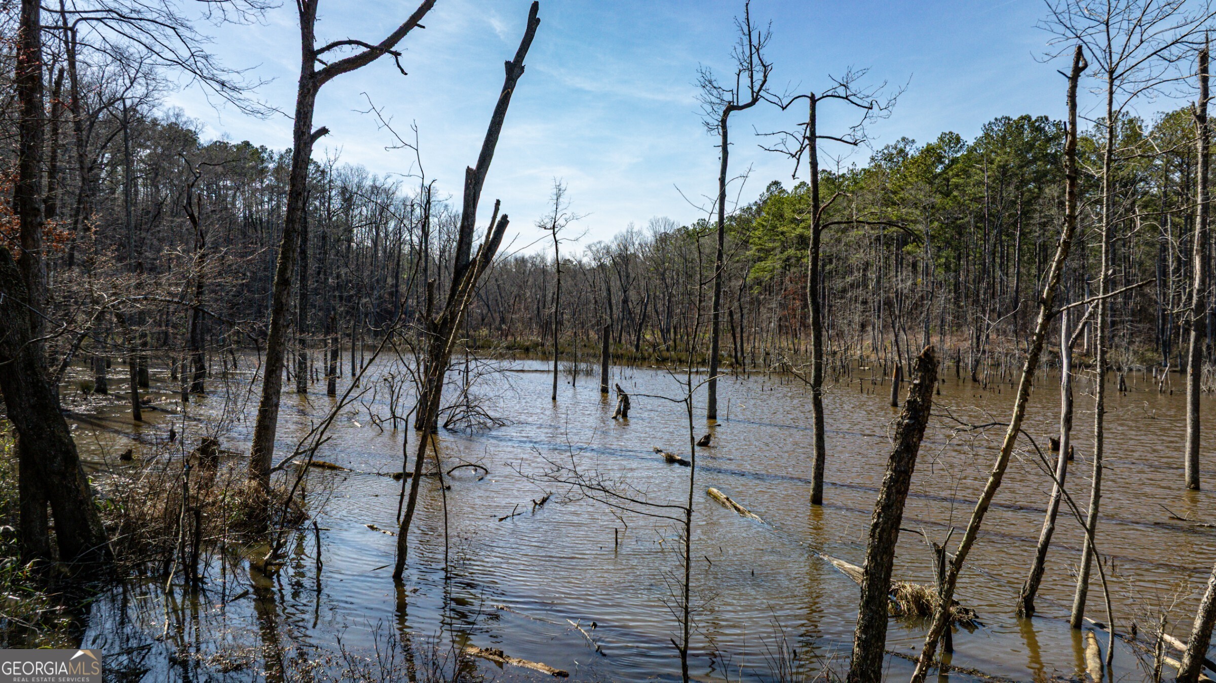 342 Norris Road Barnesville, GA 30204 - Photo 31 of 42