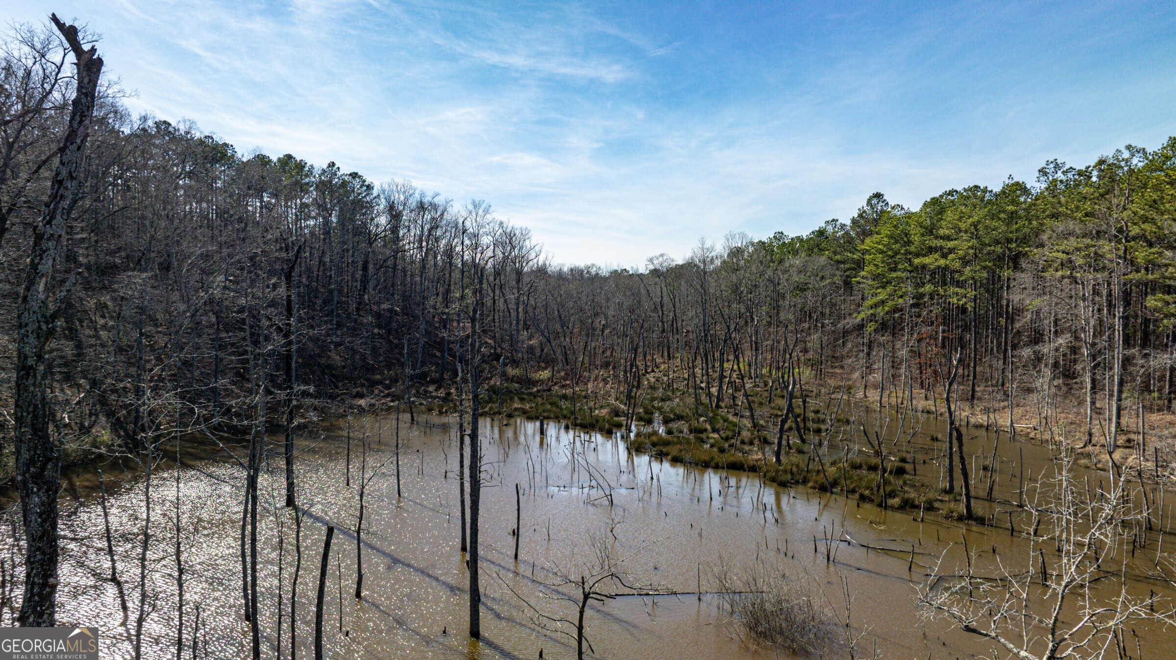 342 Norris Road Barnesville, GA 30204 - Photo 32 of 42