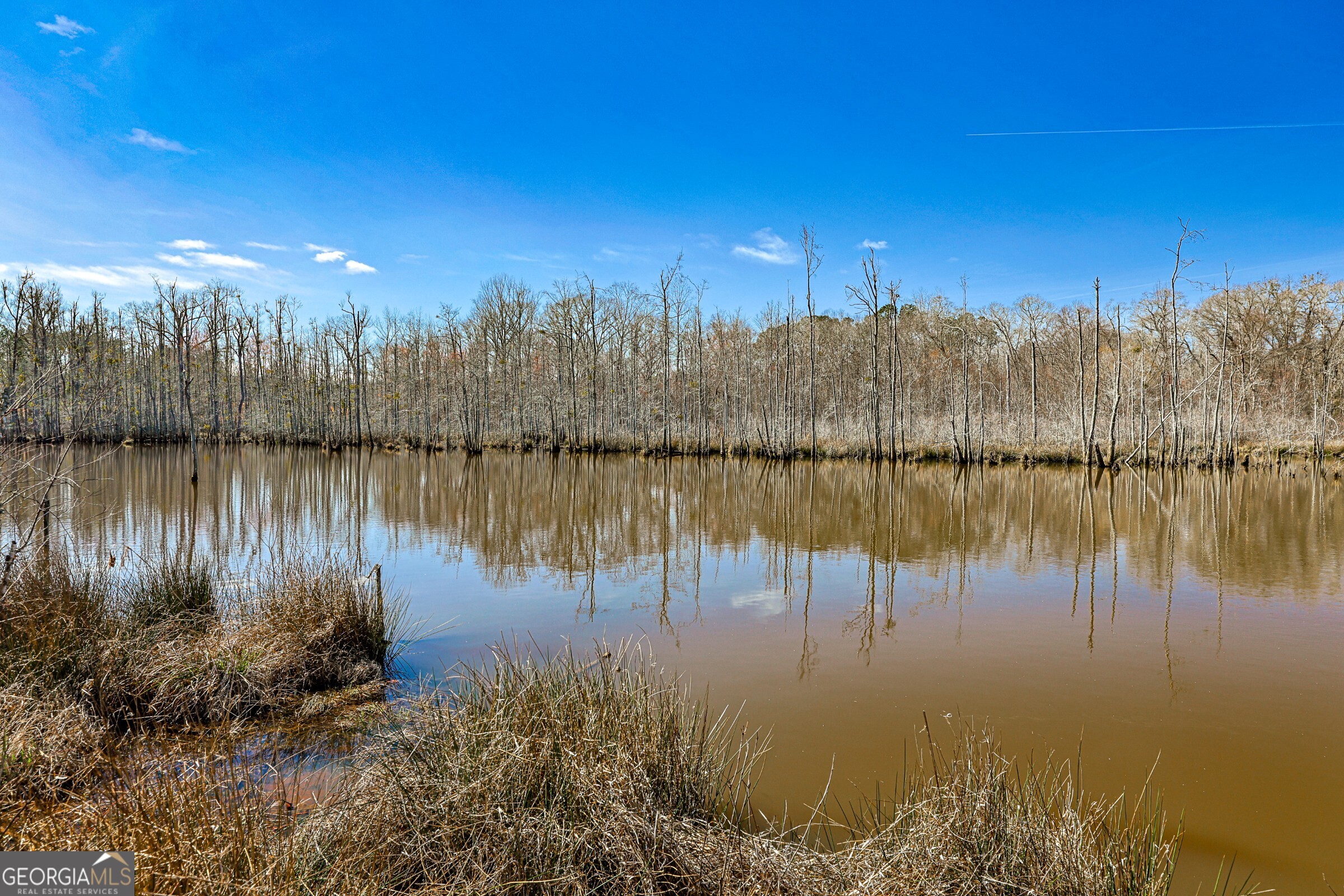 342 Norris Road Barnesville, GA 30204 - Photo 37 of 42