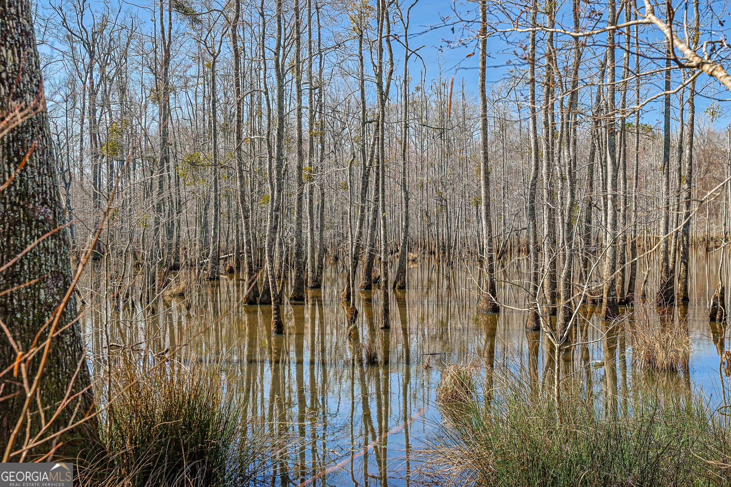 342 Norris Road Barnesville, GA 30204 - Photo 38 of 42