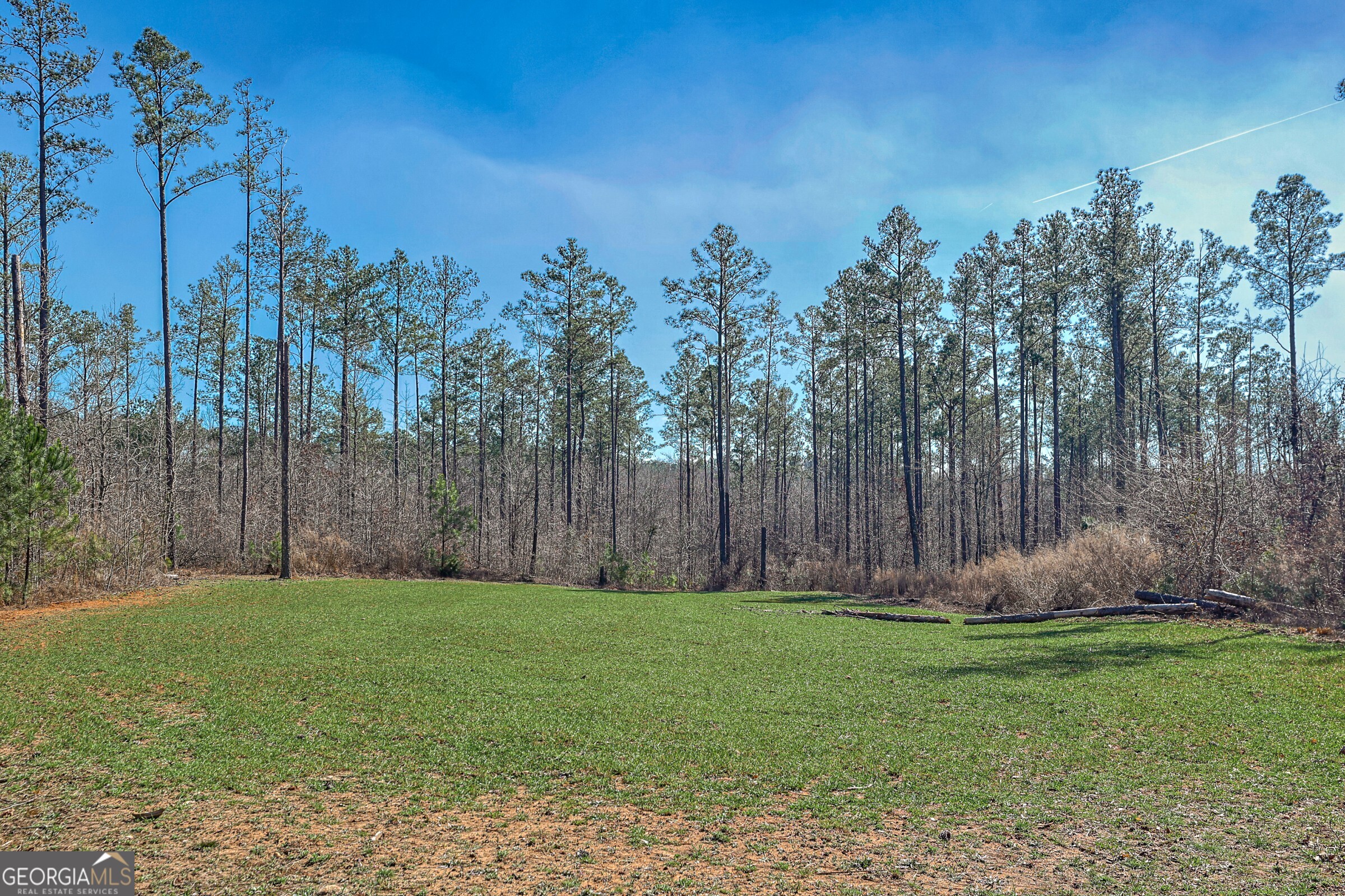 342 Norris Road Barnesville, GA 30204 - Photo 39 of 42