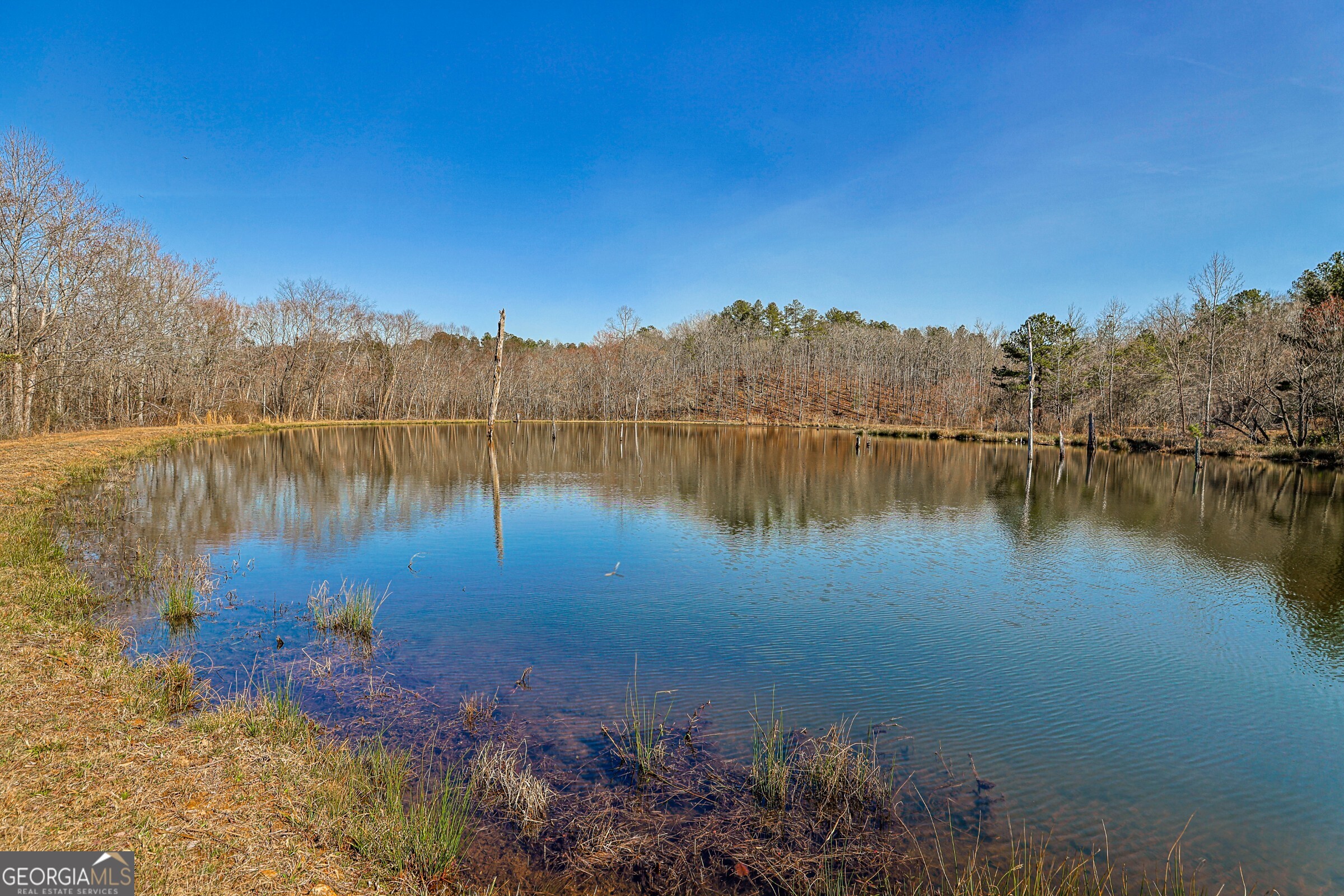 342 Norris Road Barnesville, GA 30204 - Photo 40 of 42