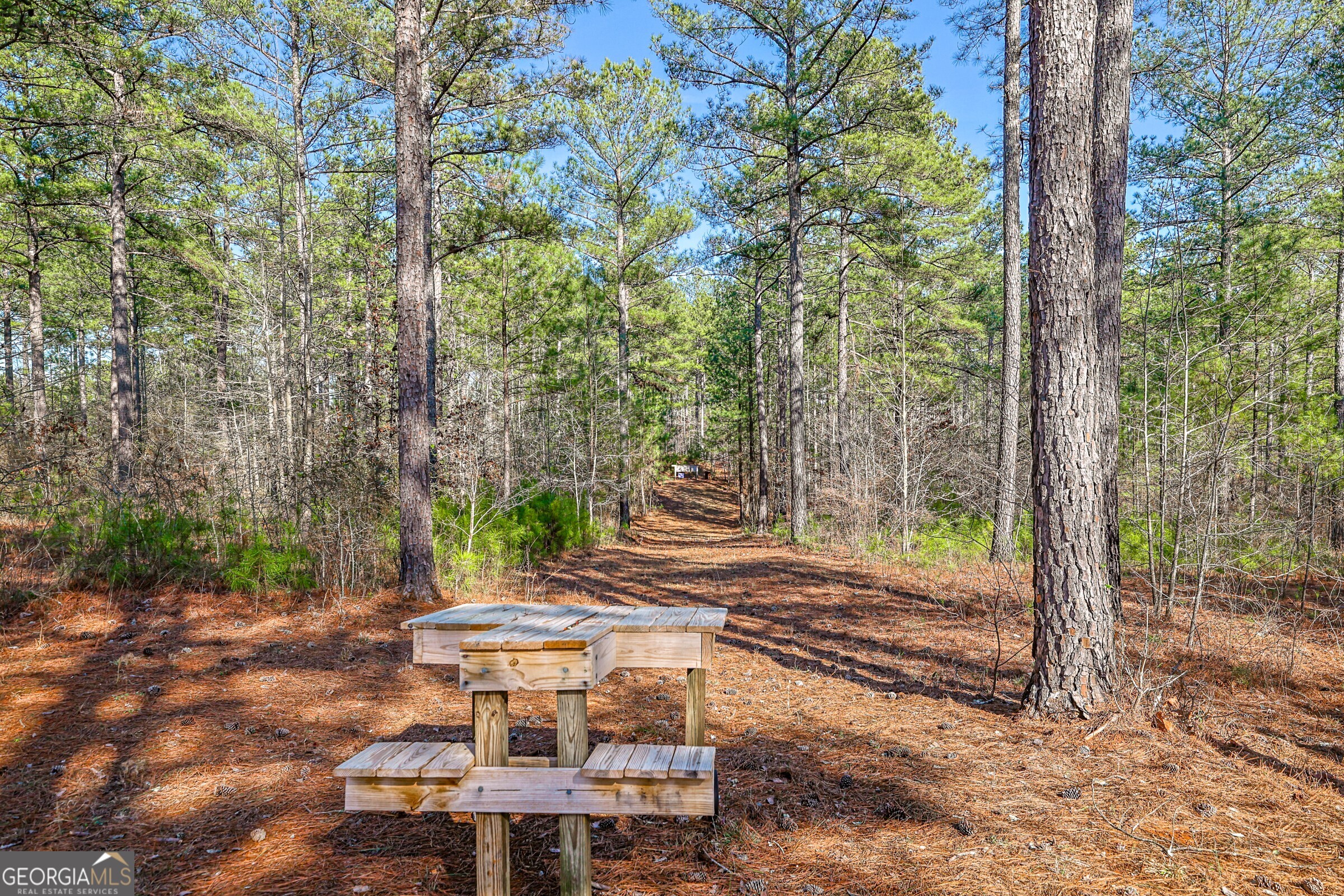 342 Norris Road Barnesville, GA 30204 - Photo 42 of 42