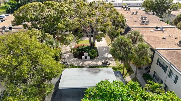 a small garden covered with lots of trees
