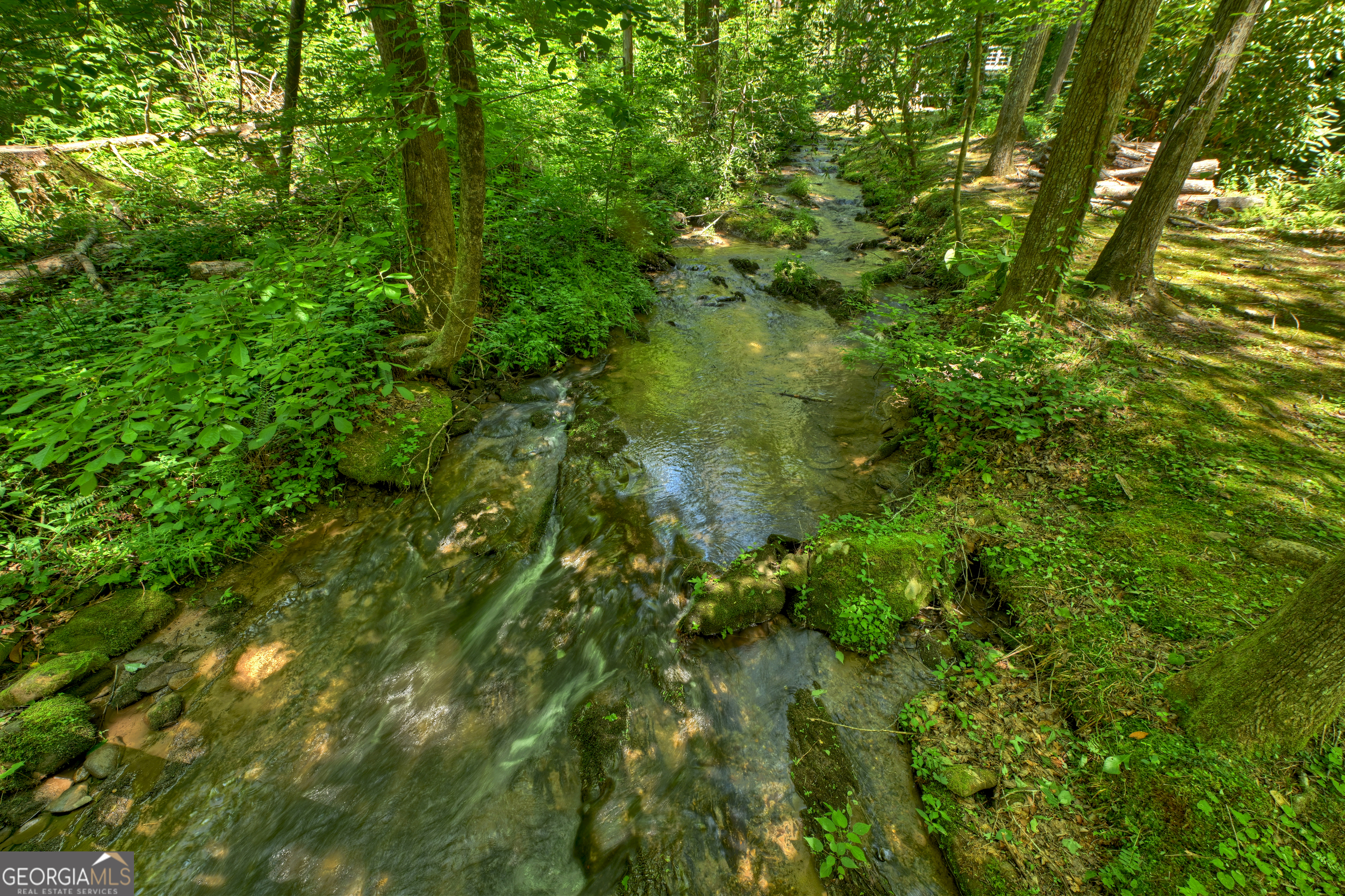 373 Barnes Creek Road Ellijay, GA 30540 - Photo 17 of 41