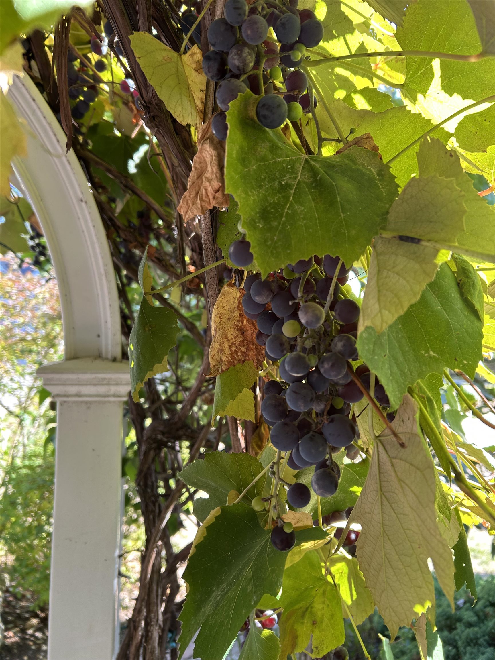 540 Ocean Road Portsmouth, NH 03801 - Photo 53 of 58