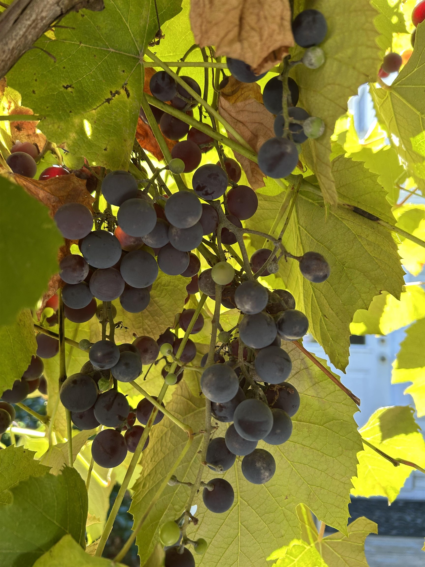 540 Ocean Road Portsmouth, NH 03801 - Photo 54 of 58