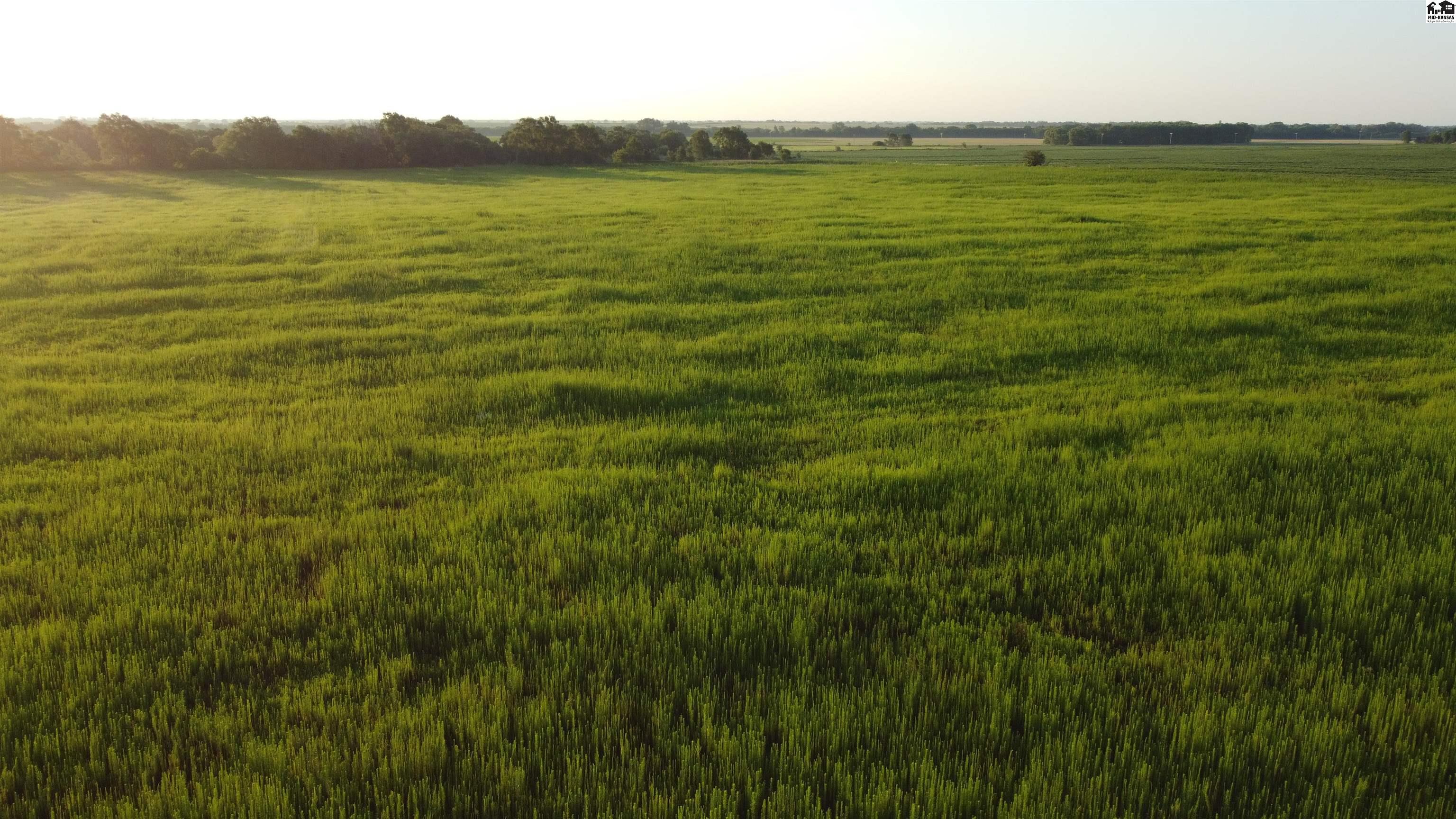 0 West Boundary Road Pretty Prairie, KS 67570 - Photo 6 of 14 Gallery Image 6