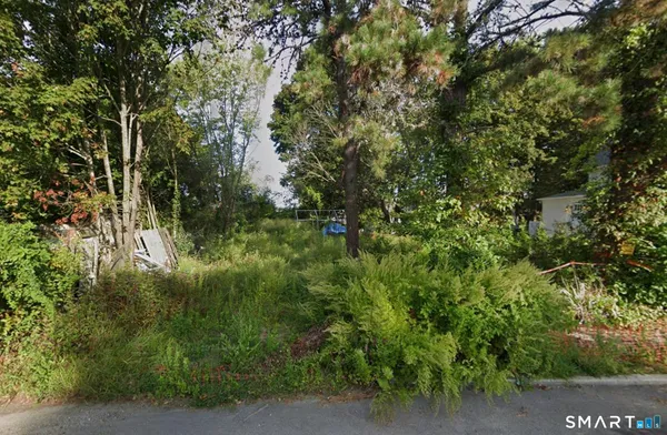 a view of a tree