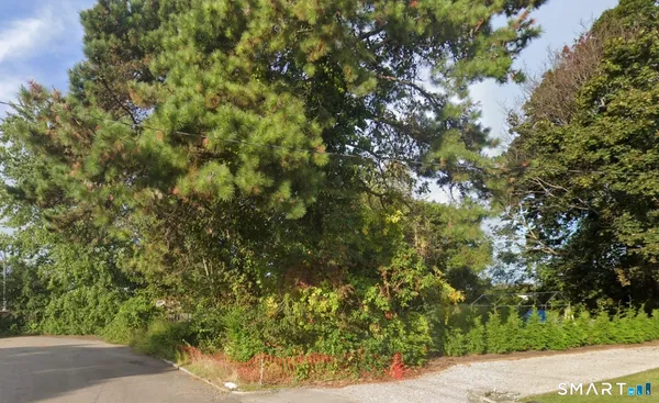 a view of a yard