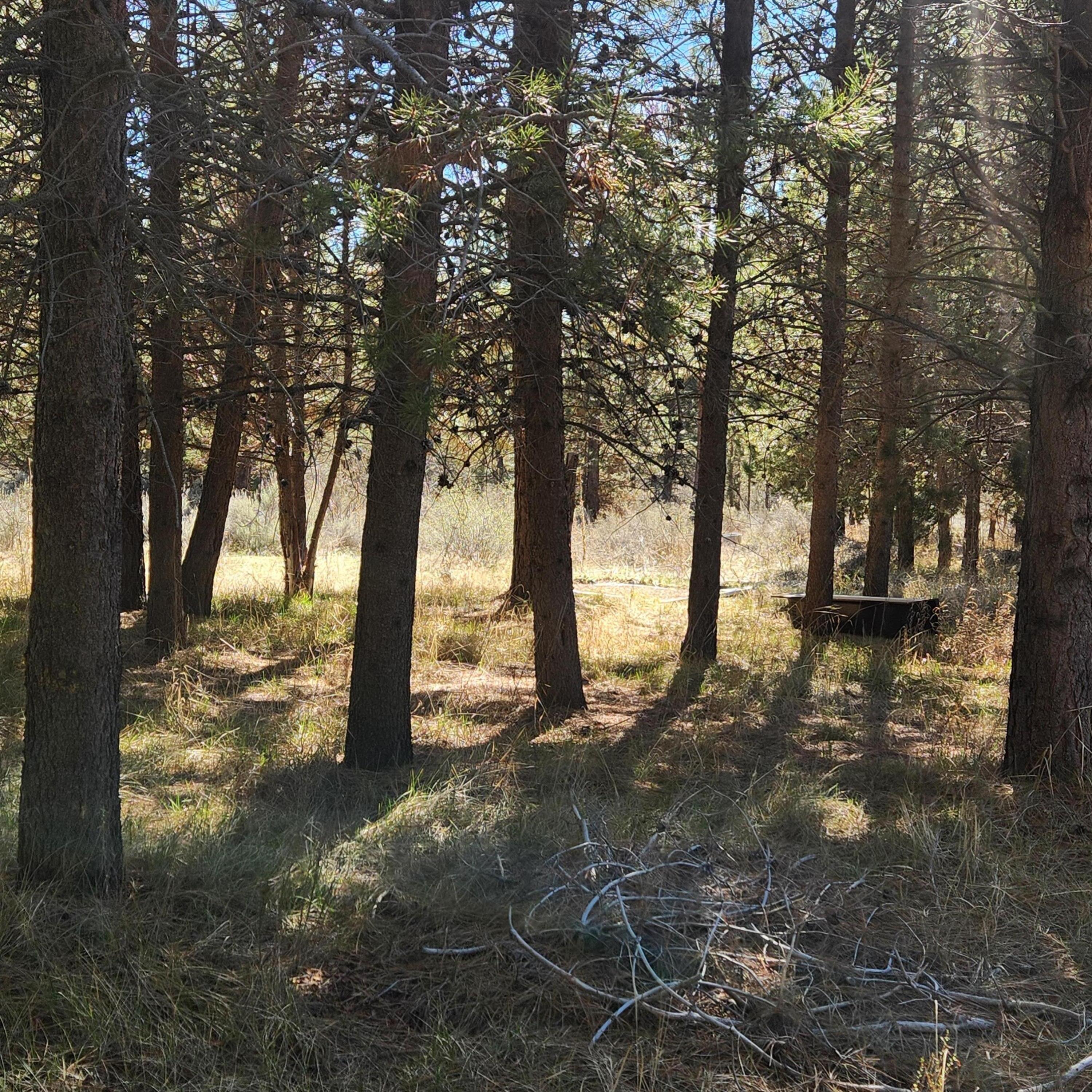 Moccasin Lane Chiloquin, OR 97624 - Photo 12 of 21 a view of outdoor space with lots of trees