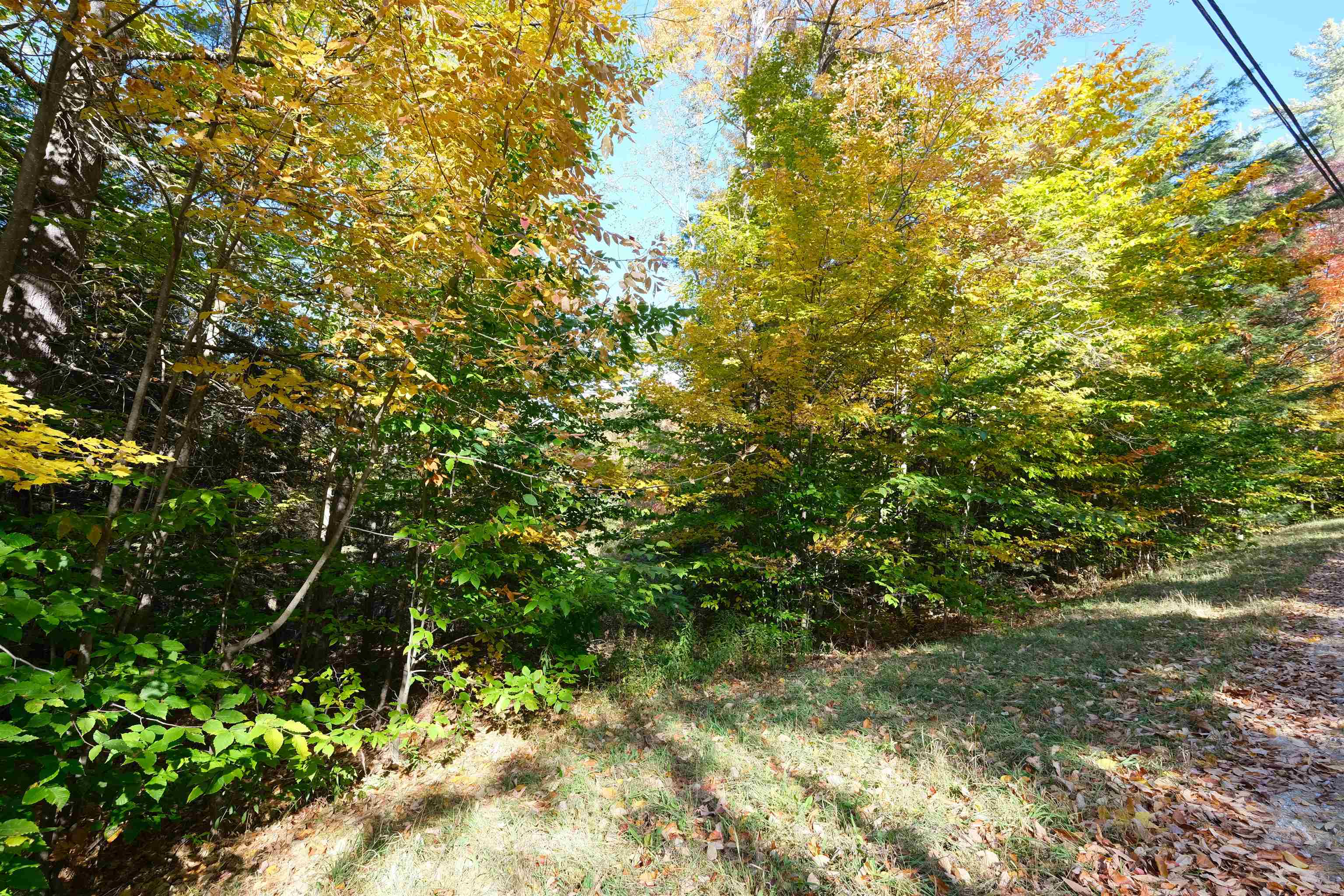 0 Ellison Loop Ludlow, VT 05149 - Photo 1 of 11