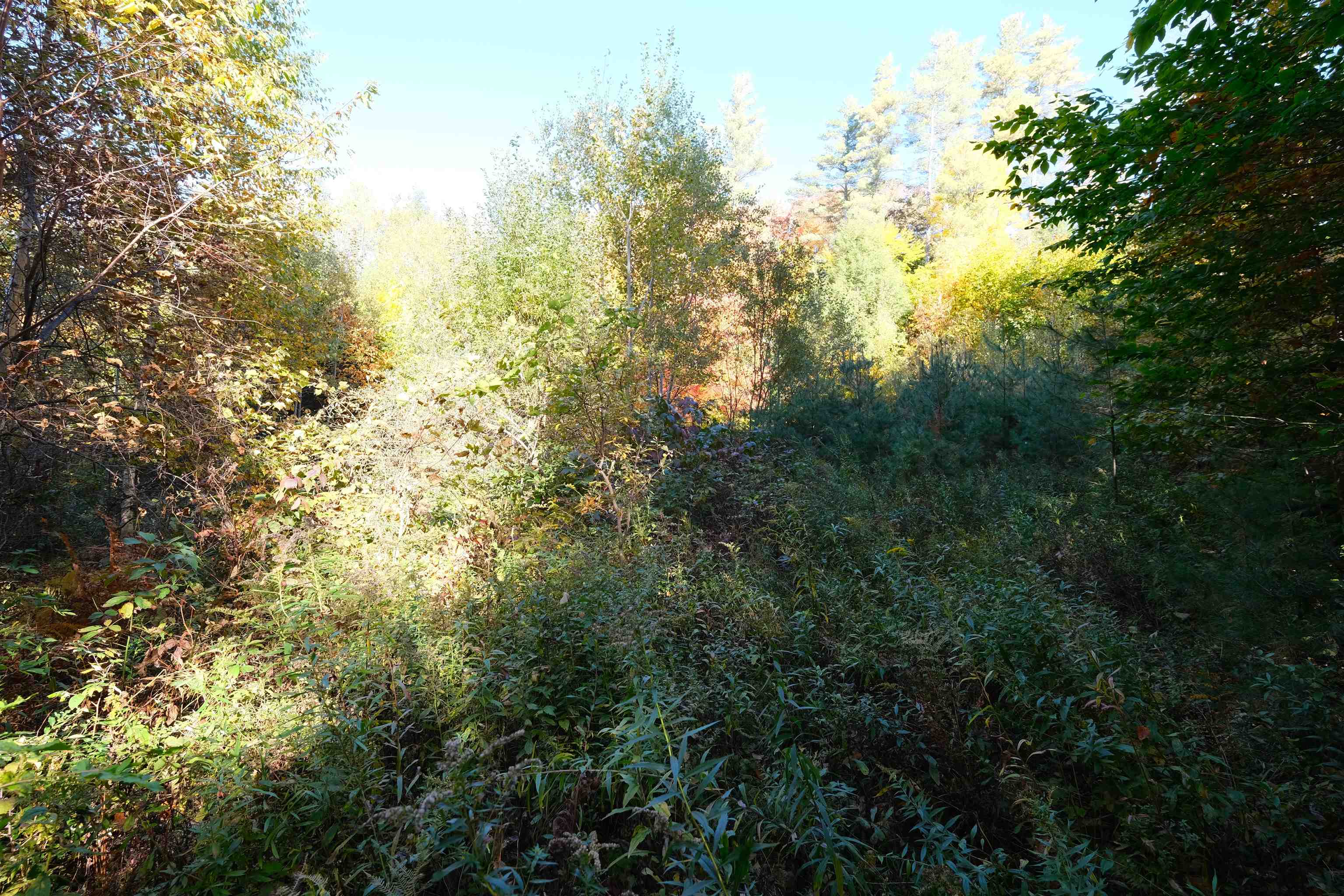 0 Ellison Loop Ludlow, VT 05149 - Photo 4 of 11