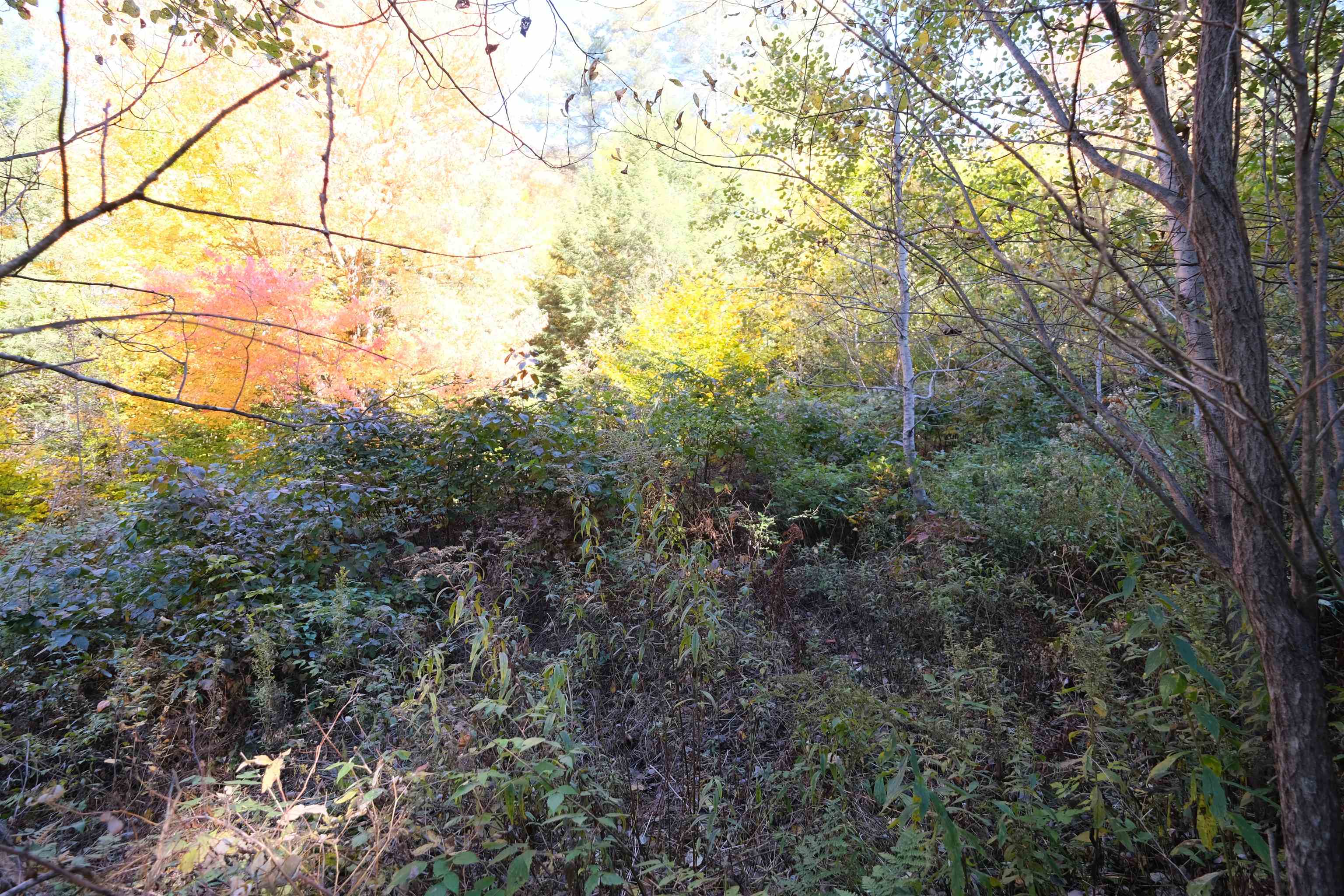 0 Ellison Loop Ludlow, VT 05149 - Photo 7 of 11