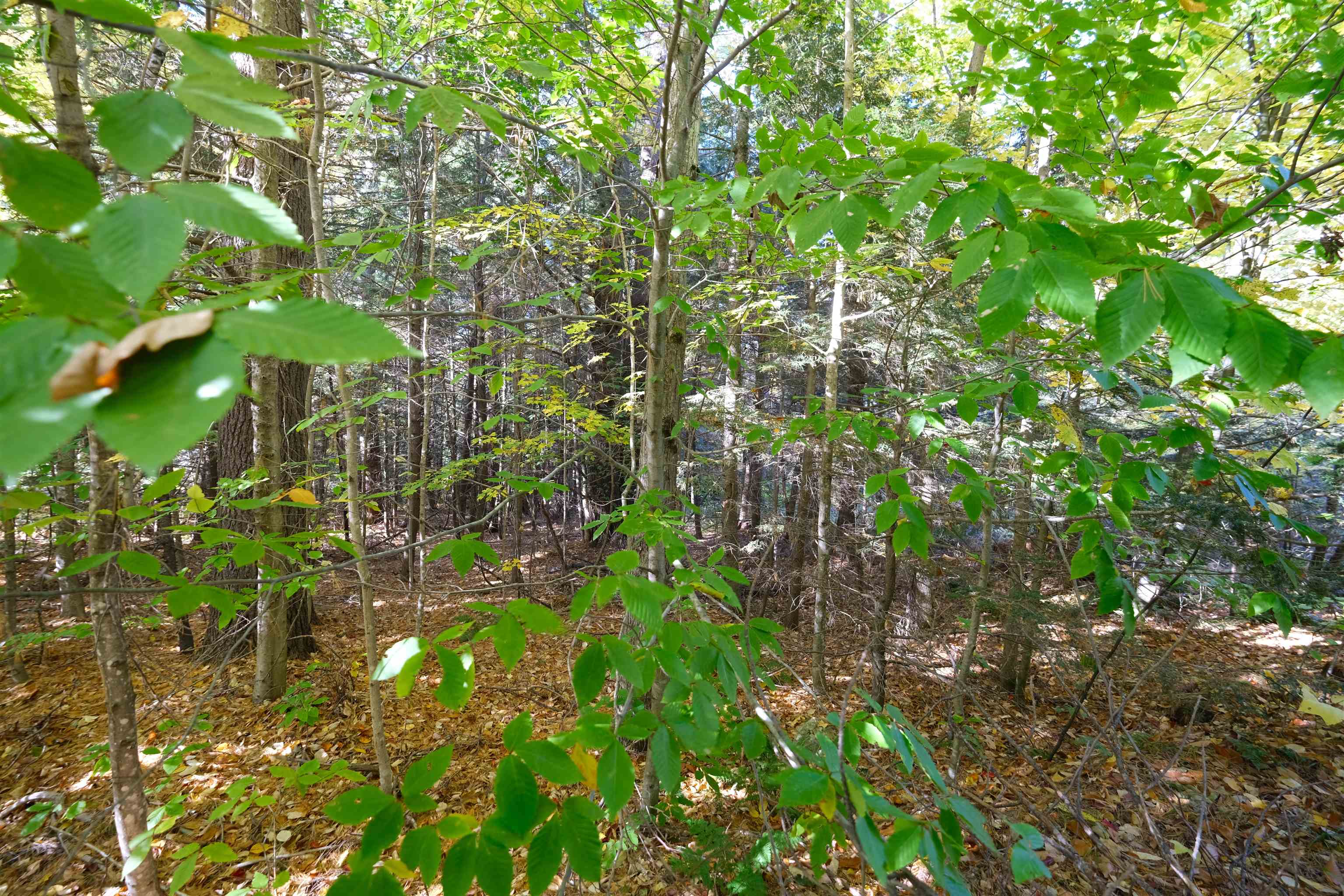 0 Ellison Loop Ludlow, VT 05149 - Photo 9 of 11