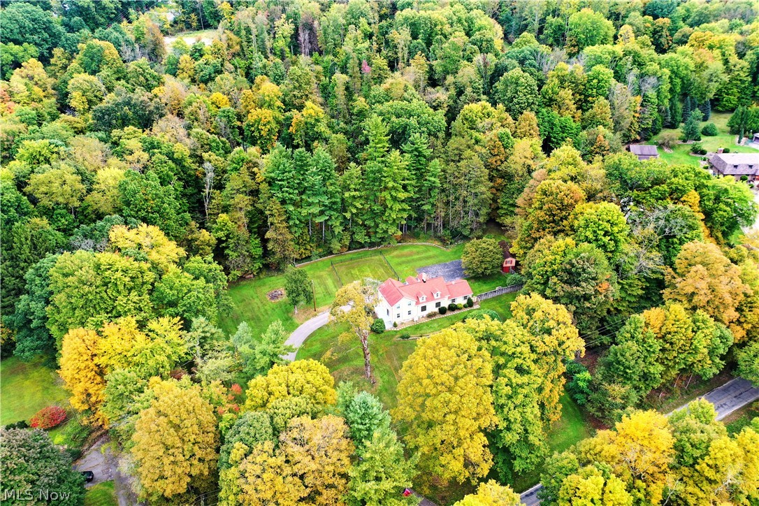 892 Yankee Run Road Masury, OH 44438 - Photo 8 of 50 Extensive tree canopy surrounding the property, large manicured lawn, and paved driveway