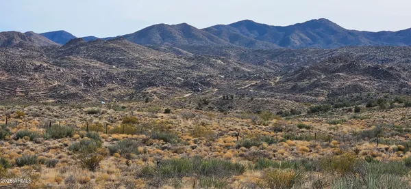 a view of a dry field with a mountain in the background