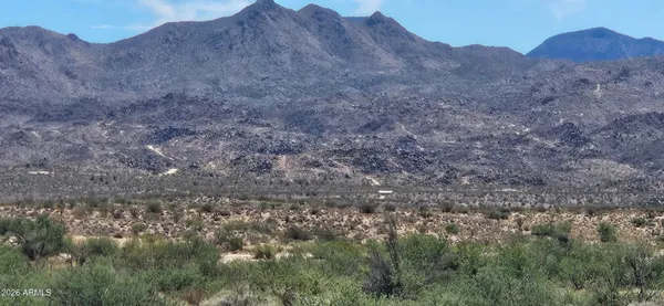 a view of a dry field