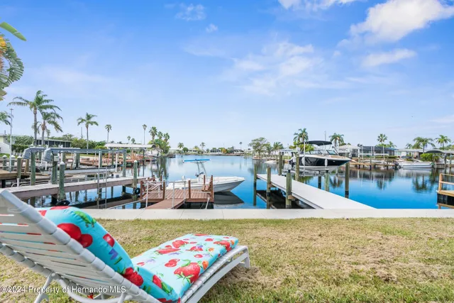 a view of a swimming pool with couches chairs and potted plants