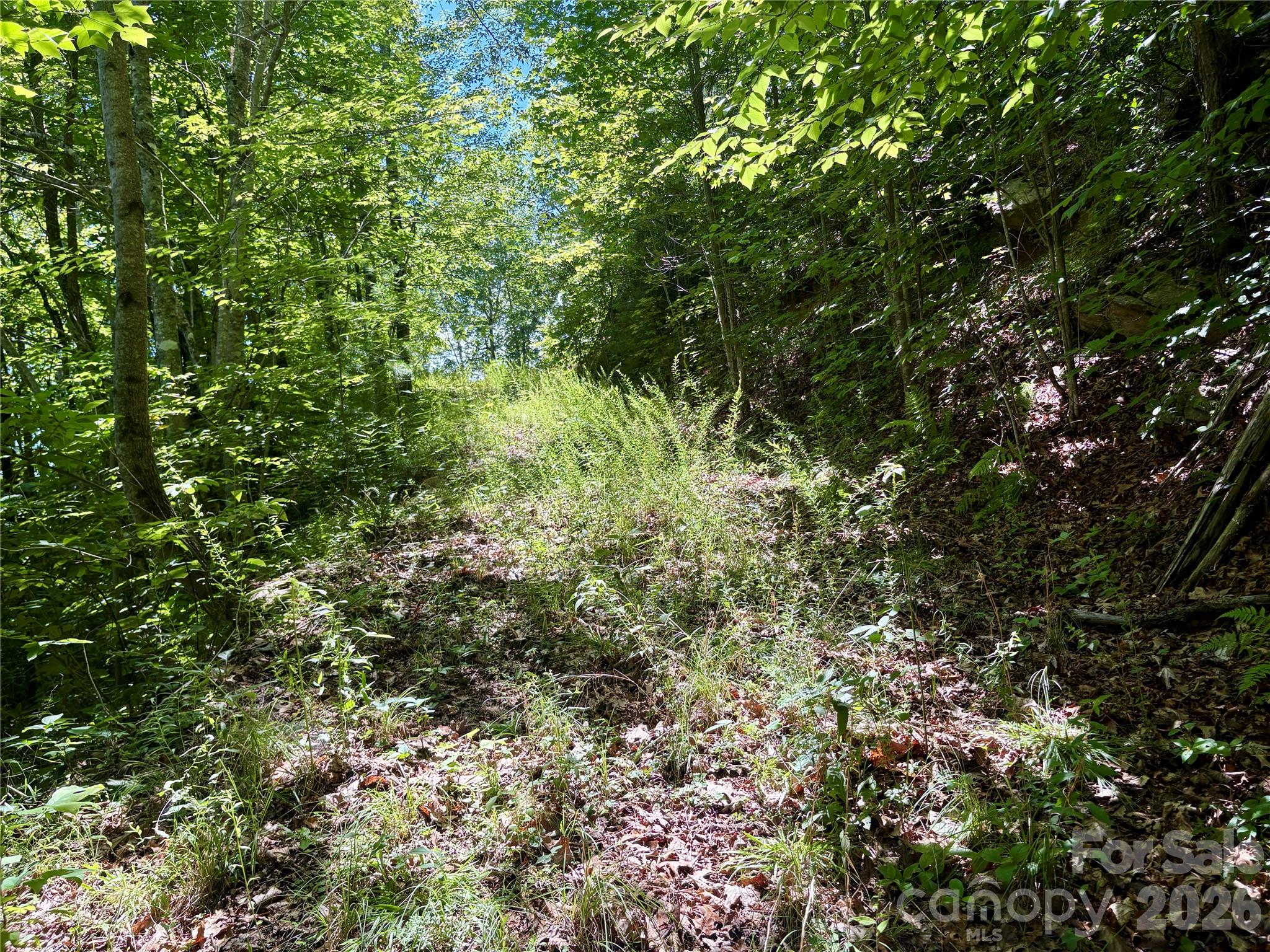 0 Eagles Roost Road, Unit 70 Bryson City, NC 28713 - Photo 11 of 13