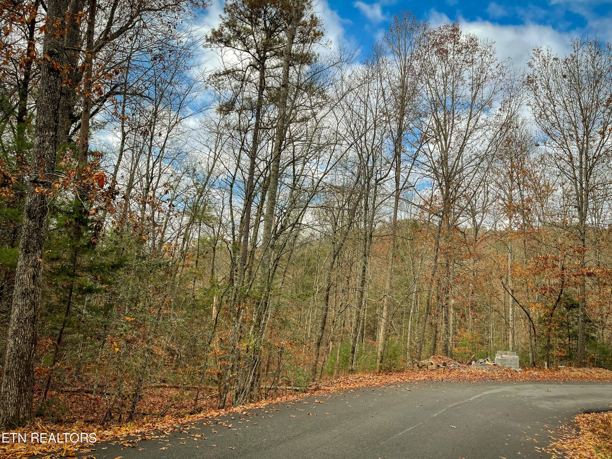 10795152 Shell Mountain Road Sevierville, TN 37876 - Photo 20 of 30 a view of a yard and a tree