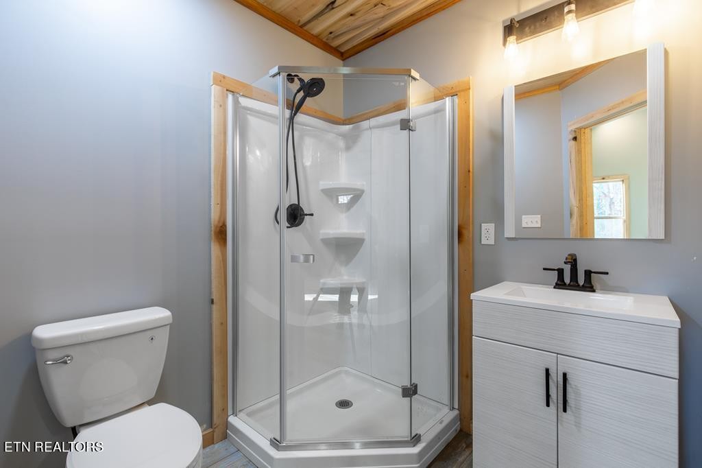 10795152 Shell Mountain Road Sevierville, TN 37876 - Photo 8 of 30 a bathroom with a shower a toilet and sink