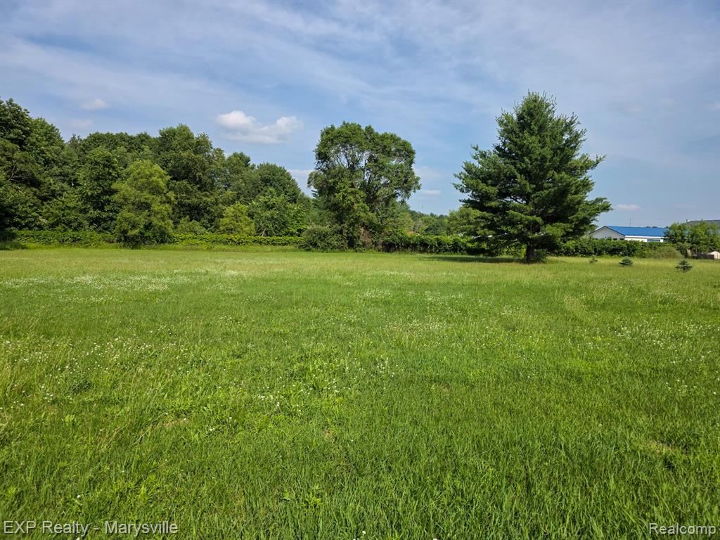 3473 Mertz Road Caro, MI 48723 - Photo 5 of 20