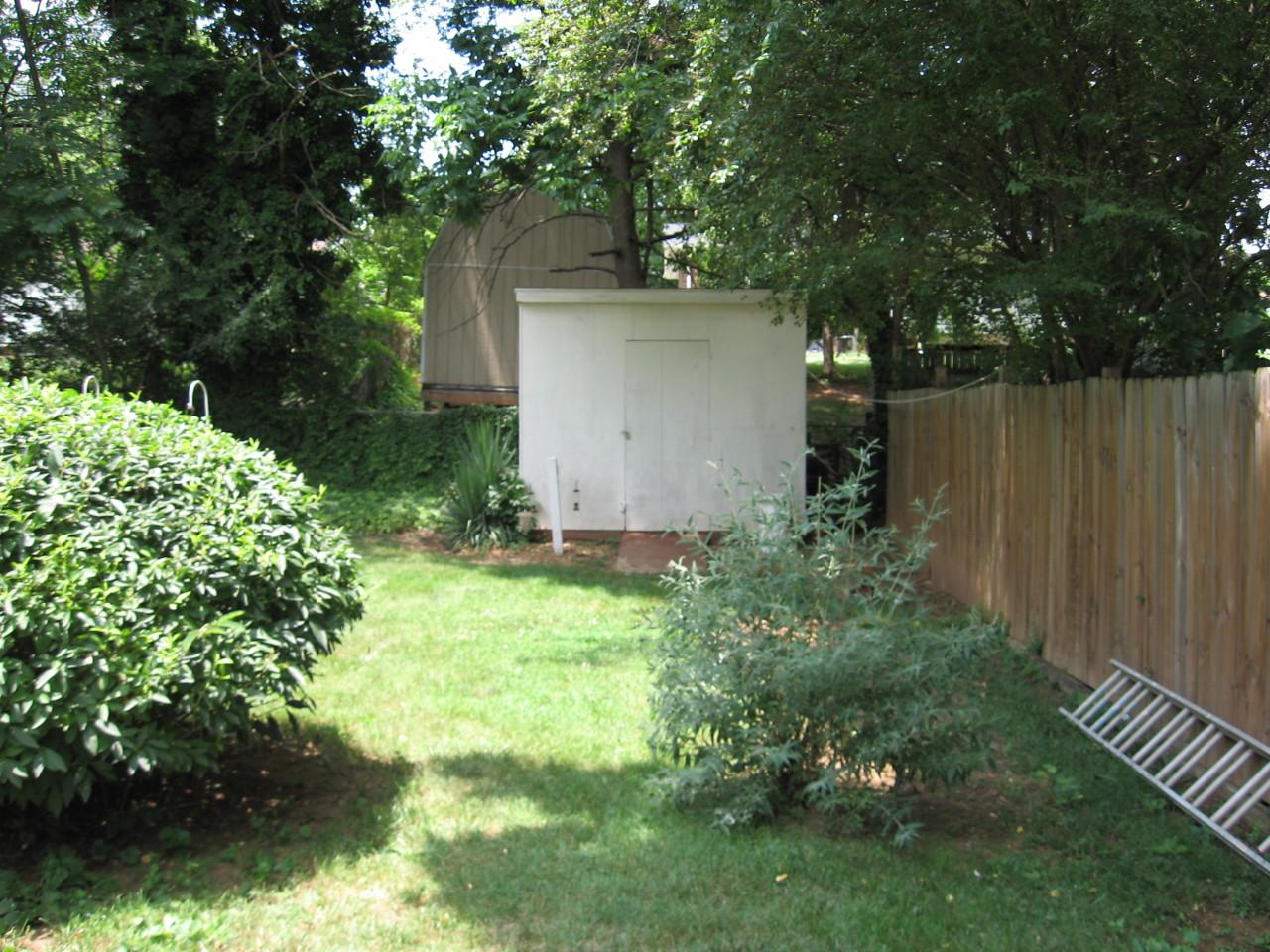 Picture of yard and shed
