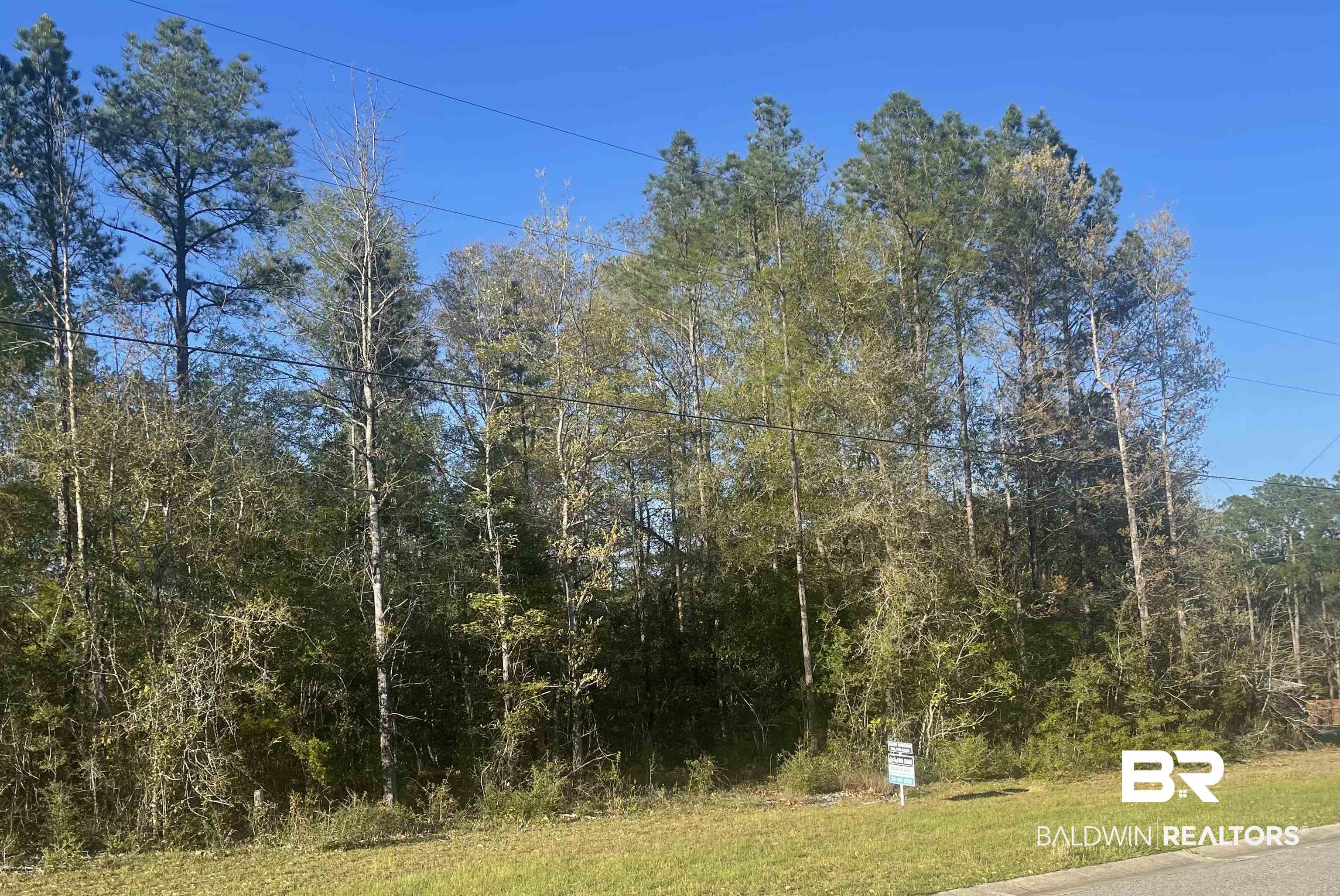 8 Cayden Circle Stapleton, AL 36578 - Photo 3 of 4