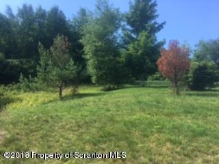 0 Callender Road Thompson, PA 18465 - Photo 10 of 53 Gallery Image 10