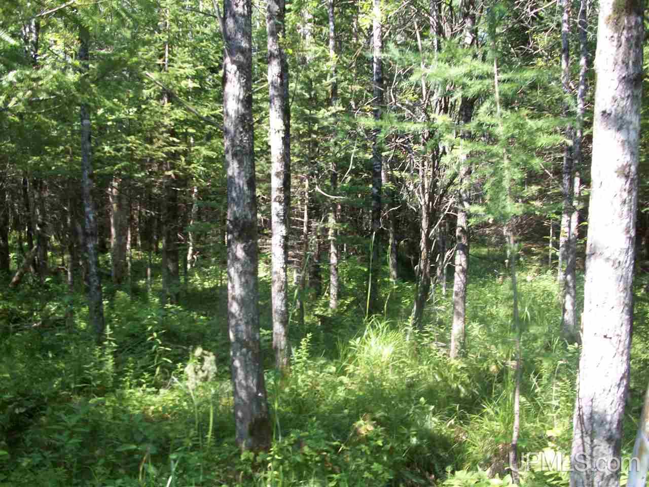 Tbd Off 32nd Road Rapid River, MI 49878 - Photo 3 of 6