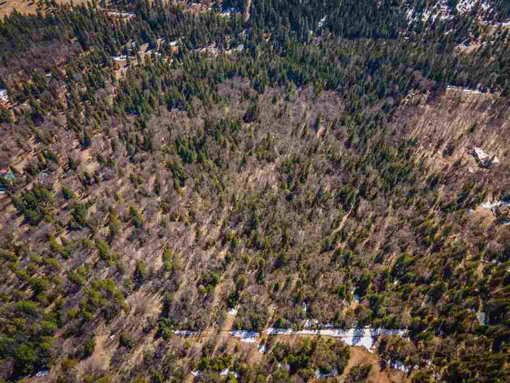 40-acres Off Deetz Road Mount Shasta, CA 96067 - Photo 9 of 25 Gallery Image 9