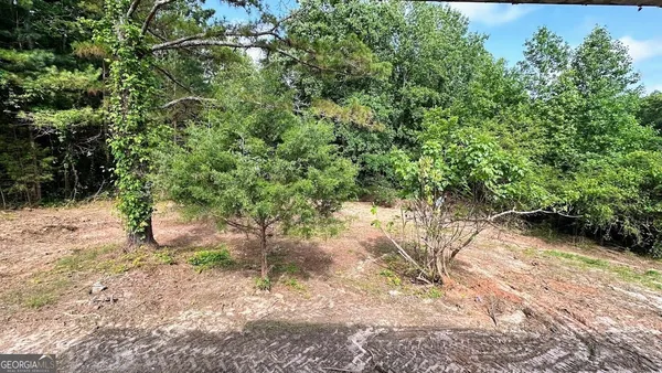 $75,000 | 1565 County Road 61, Roanoke, AL 36274