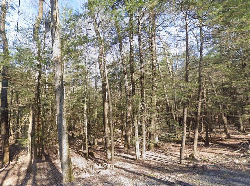 0 Stagers Road Summerhill, PA 15958 - Photo 7 of 14