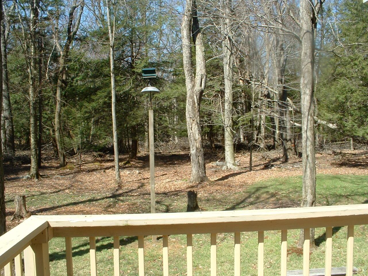 46 Sassafras Road Albrightsville, PA 18210 - Photo 3 of 9 Private yard