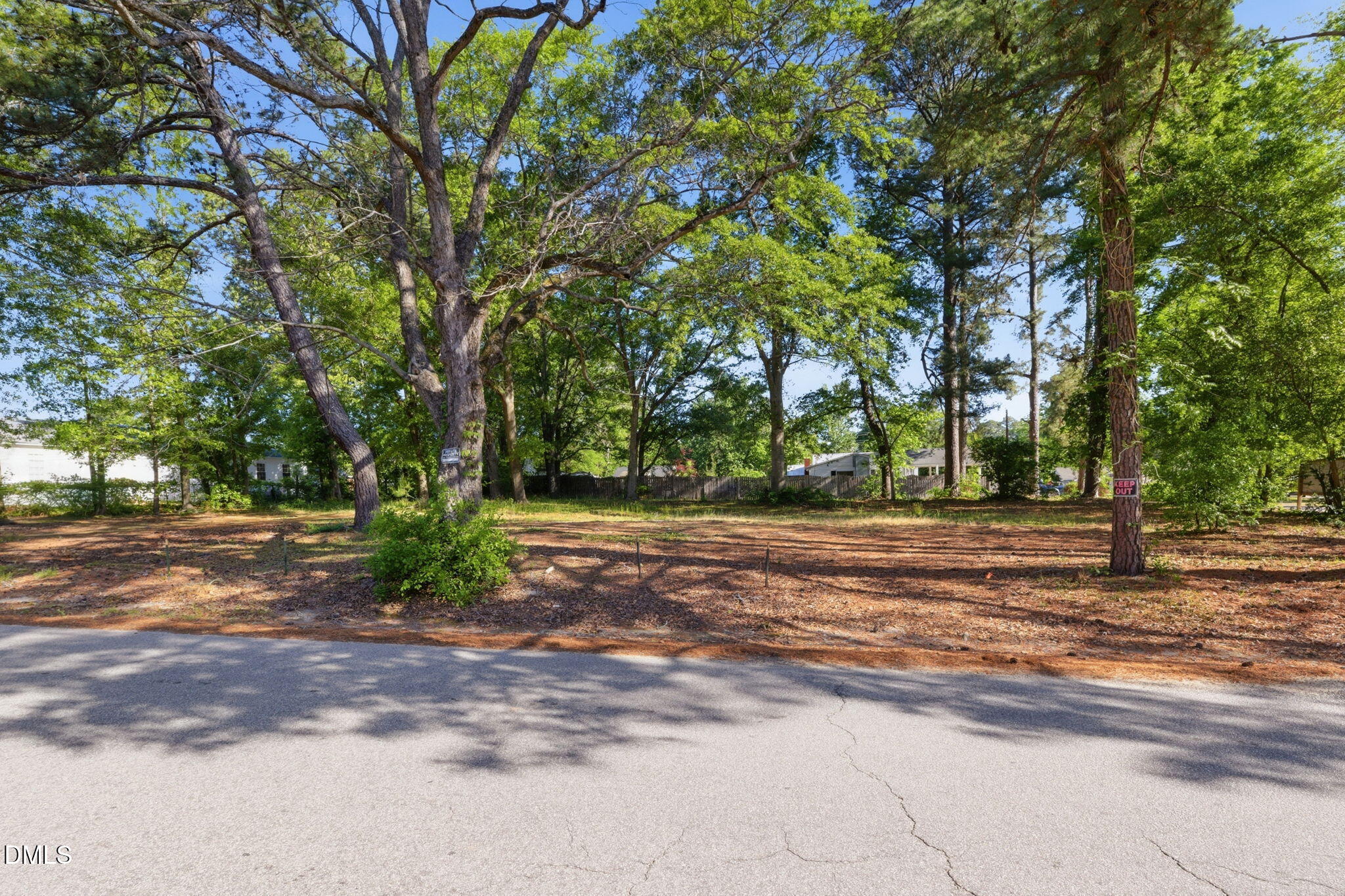 94 South Cross Street Angier, NC 27501 - Photo 2 of 18 3-web-or-mls-DX3A5060