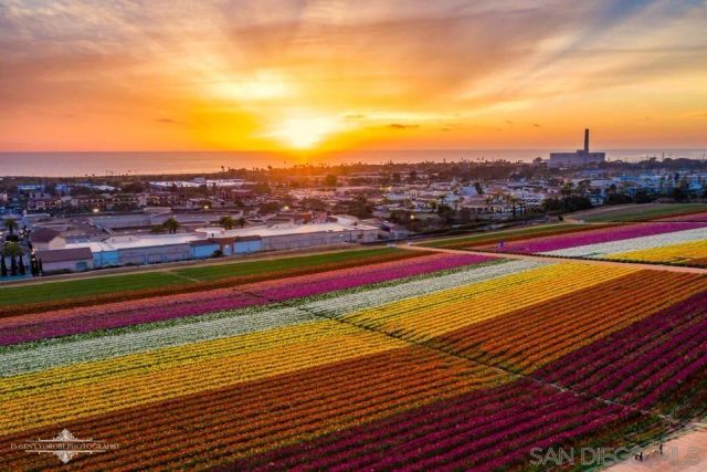 $1,888,990 | 3275 Maezel Lane, Carlsbad, CA 92008