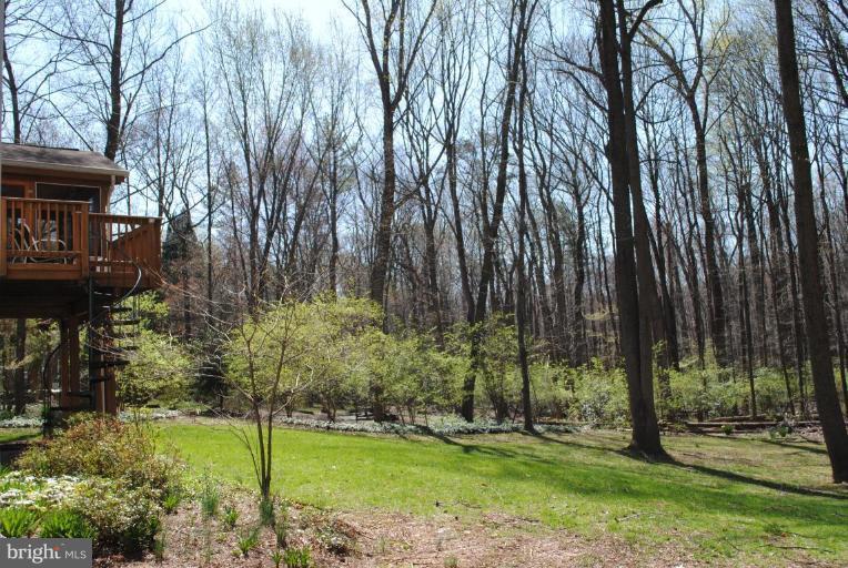 11709 Riders Lane Reston, VA 20191 - Photo 13 of 24 Beautiful Backyard that Backs up to Parkland