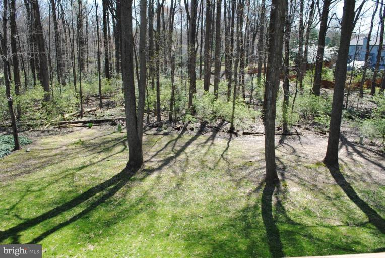 11709 Riders Lane Reston, VA 20191 - Photo 18 of 24 Wooded View / Acreage