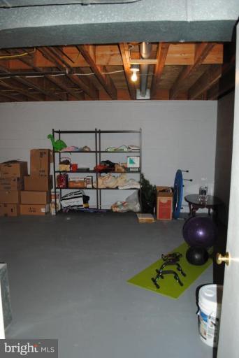 11709 Riders Lane Reston, VA 20191 - Photo 23 of 24 Another HUGE Storage Area