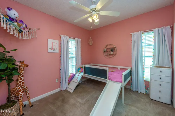 $615,000 | 179 Cindy Anne Drive, Gray, TN 37615