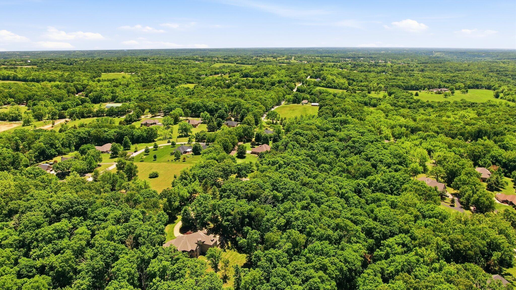 993 South Oak Ridge Road Nixa, MO 65714 - Photo 57 of 59 DJI_0605