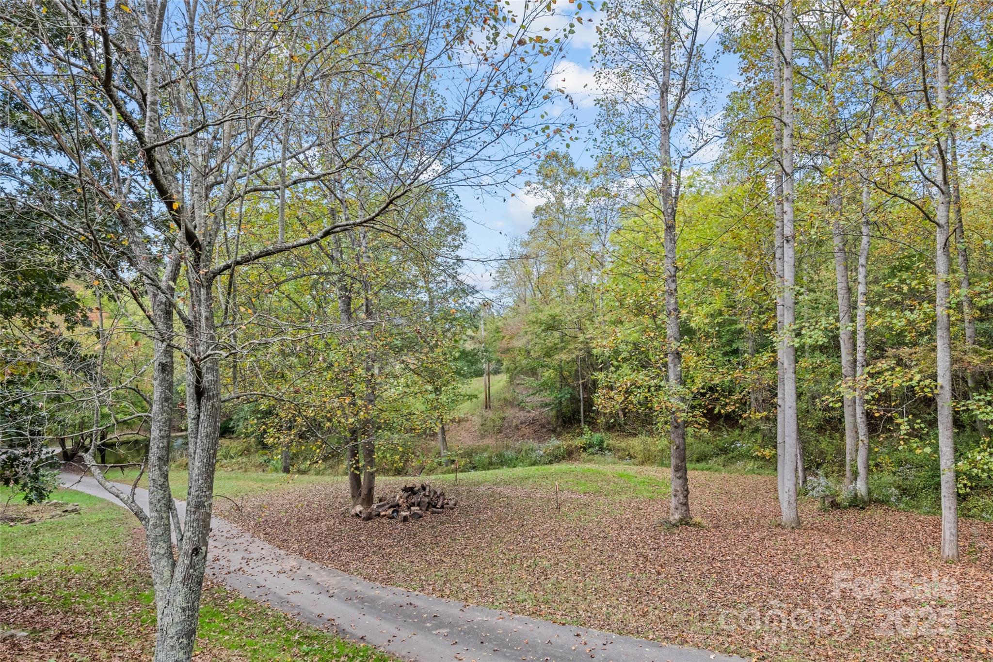 940 Haynes Cove Clyde, NC 28721 - Photo 13 of 48 a backyard of a house with lots of trees